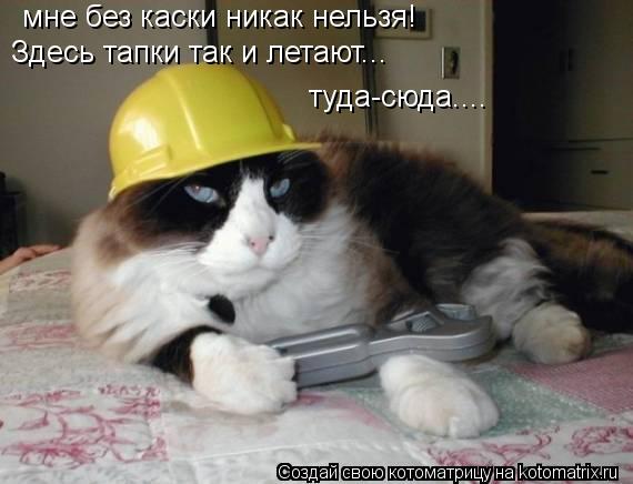 Котоматрица: мне без каски никак нельзя! Здесь тапки так и летают... туда-сюда....