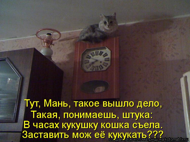 Тут, Мань, такое вышло дело, Такая, понимаешь, штука: В часах кукушку кошка съела. Заставить мож её к... Котоматрица: Тут, Мань, такое вышло дело, Такая, понимаешь, штука: В часах кукушку кошка съела. Заставить мож её кукукать???