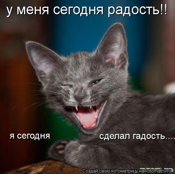 Котоматрица: у меня сегодня радость!! я сегодня  сделал гадость....