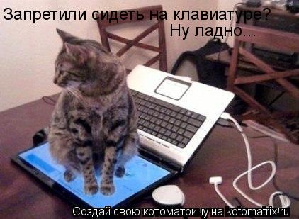 Котоматрица: Запретили сидеть на клавиатуре?  Ну ладно...