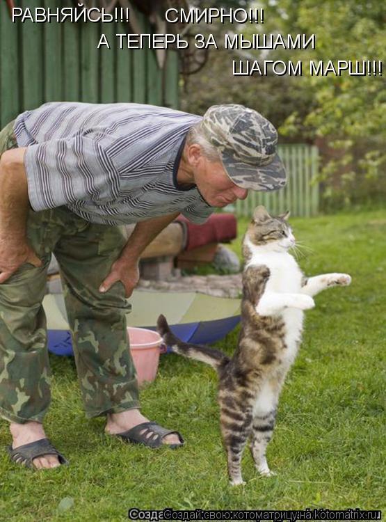 Котоматрица: РАВНЯЙСЬ!!! СМИРНО!!! А ТЕПЕРЬ ЗА МЫШАМИ  ШАГОМ МАРШ!!!