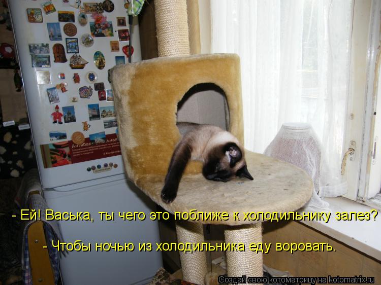 Котоматрица: - Ей! Васька, ты чего это поближе к холодильнику залез?  - Чтобы ночью из холодильника еду воровать.