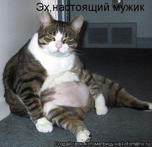 Котоматрица: Эх,настоящий мужик