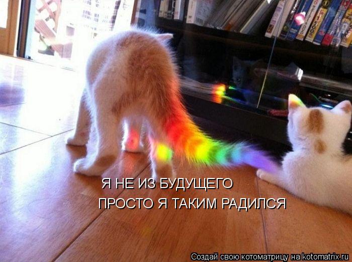 Котоматрица: Я НЕ ИЗ БУДУЩЕГО Я НЕ ИЗ БУДУЩЕГО ПРОСТО Я ТАКИМ РАДИЛСЯ