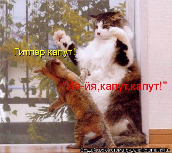 Котоматрица: Гитлер капут! "Йя-йя,капут,капут!"