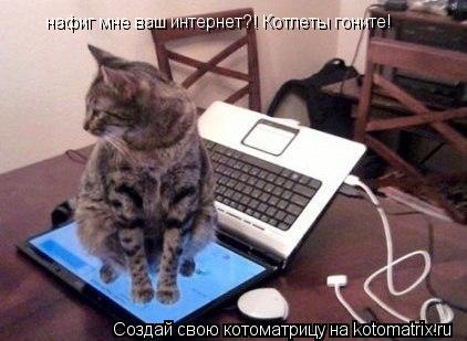 Котоматрица: нафиг мне ваш интернет?! Котлеты гоните!