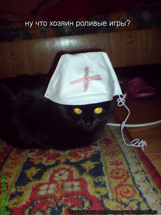 Котоматрица: ну что хозяин роливые игры?