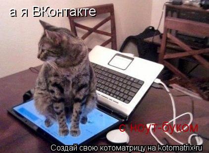 Котоматрица: а я ВКонтакте с ноут-буком