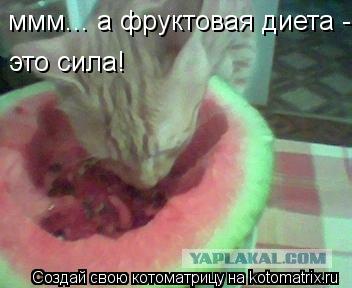 Котоматрица: ммм... а фруктовая диета -  это сила!