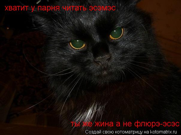 Котоматрица: хватит у парня читать эсэмэс ты же жина а не флюрэ-эсэс