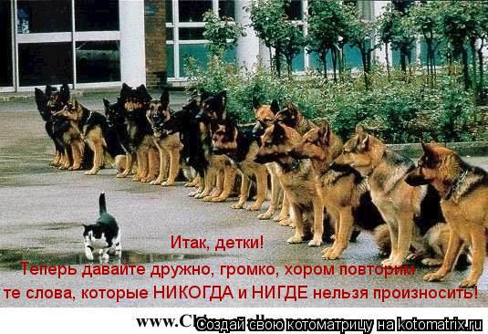 Котоматрица: Итак, детки! Теперь давайте дружно, громко, хором повторим те слова, которые НИКОГДА и НИГДЕ нельзя произносить!
