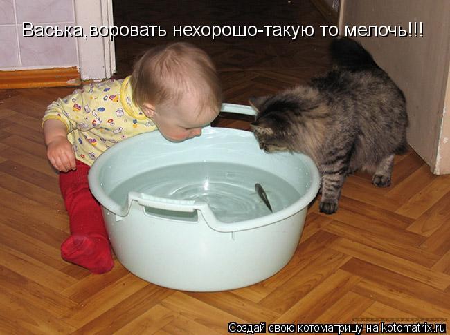 Котоматрица: Васька,воровать нехорошо-такую то мелочь!!!