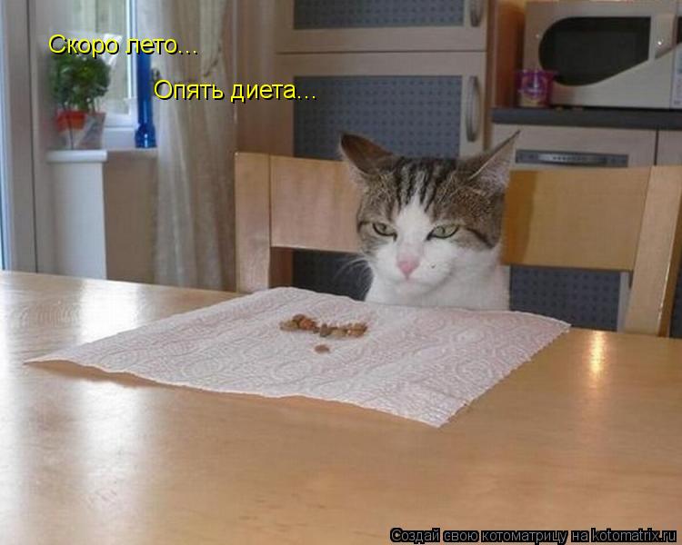 Котоматрица: Скоро лето... Опять диета...