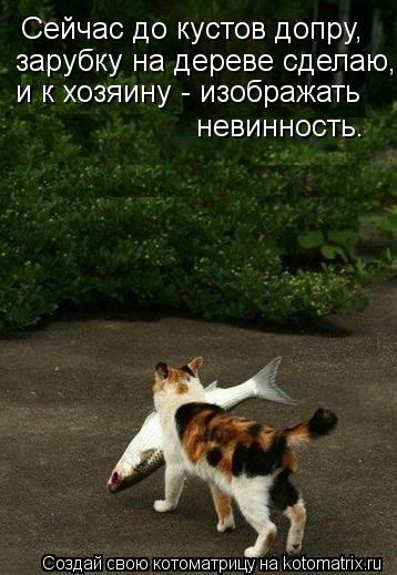 Котоматрица: Сейчас до кустов допру, зарубку на дереве сделаю, и к хозяину - изображать невинность.