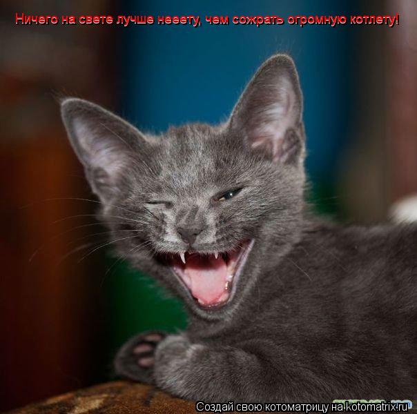 Котоматрица: Ничего на свете лучше нееету, чем сожрать огромную котлету! Ничего на свете лучше нееету, чем сожрать огромную котлету!