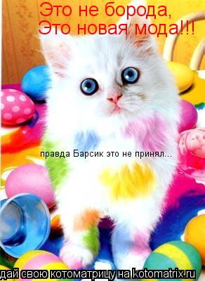 Котоматрица: Это не борода, Это новая мода!!! правда Барсик это не принял...