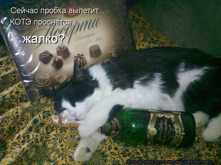 Котоматрица: Сейчас пробка вылетит... КОТЭ проснётся... жалко? жалко?