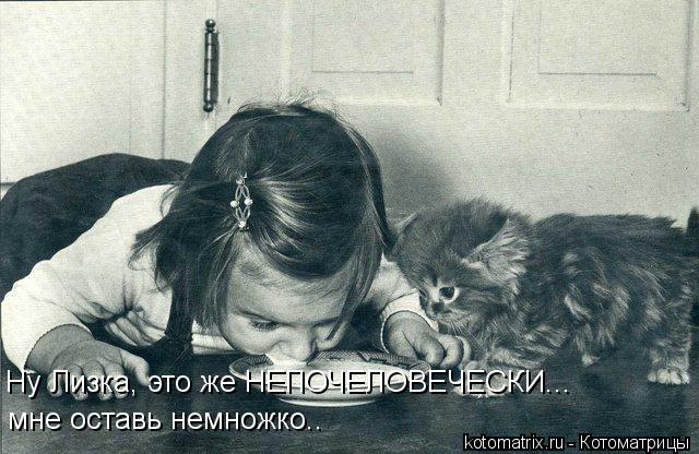 Котоматрица: Ну Лизка, это же НЕПОЧЕЛОВЕЧЕСКИ...  мне оставь немножко..