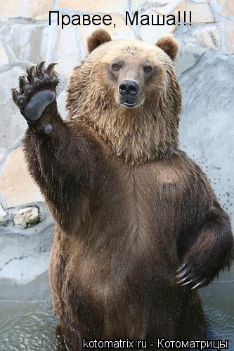Котоматрица: Правее, Маша!!!