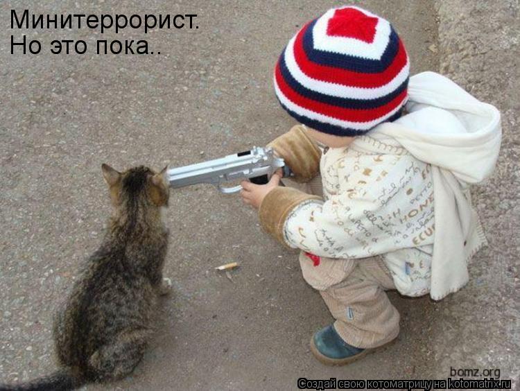 Котоматрица: Минитеррорист. Но это пока..