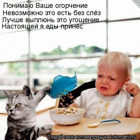 Котоматрица: Понимаю Ваше огорчение  Невозможно это есть без слёз Лучше выплюнь это угощение  Настоящей я еды принёс
