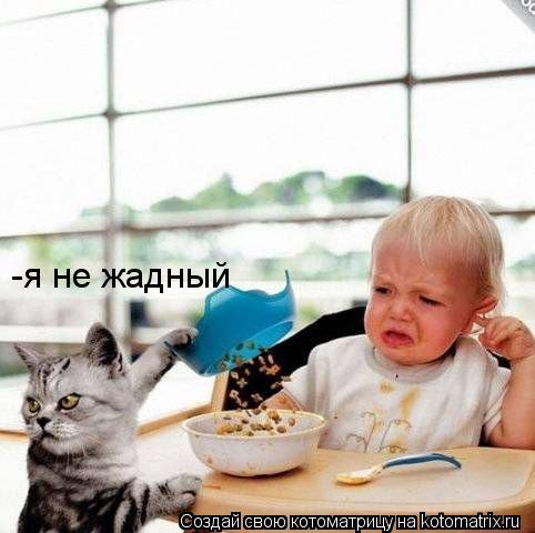 Котоматрица: -я не жадный