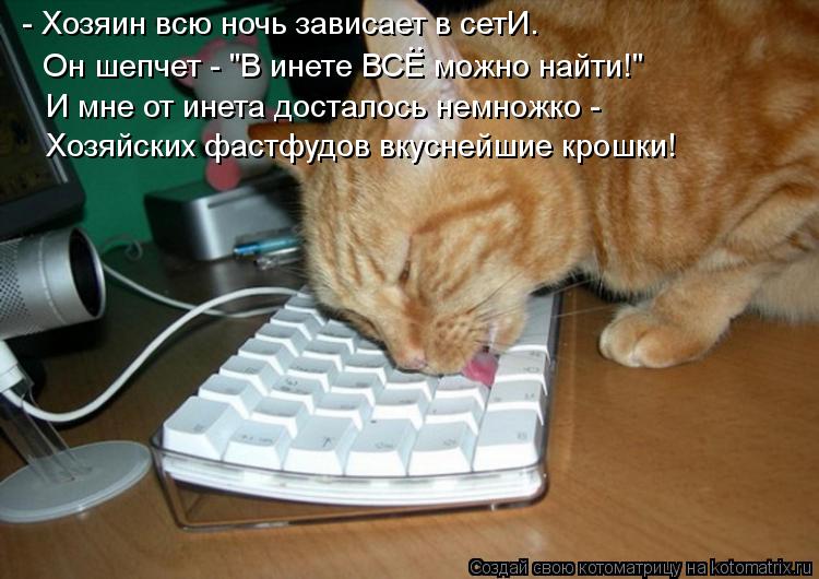 - Хозяин всю ночь зависает в сетИ. Он шепчет - "В инете ВСЕ можно найти!" И мне от инета досталось не... Котоматрица: - Хозяин всю ночь зависает в сетИ. Он шепчет - "В инете ВСЕ можно найти!" И мне от инета досталось немножко - Хозяйских фастфудов вкуснейшие кр