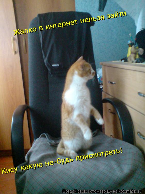 Котоматрица: Жалко в интернет нельзя зайти Кису какую не-будь присмотреть!