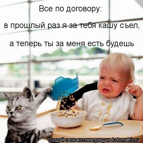 Котоматрица: а теперь ты за меня есть будешь в прошлый раз я за тебя кашу съел,  Все по договору:
