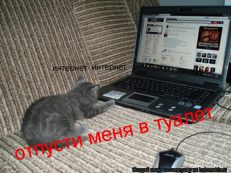 Котоматрица: интернет интернет отпусти меня в туалет