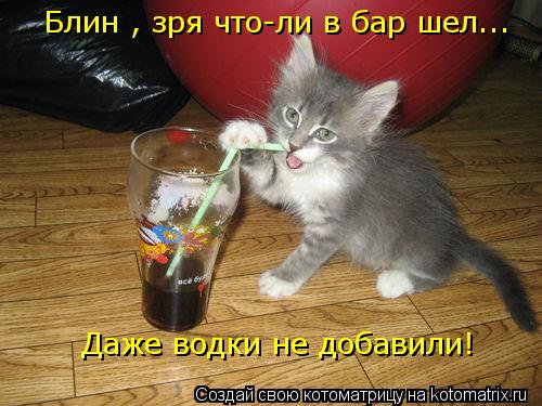 Котоматрица: Блин , зря что-ли в бар шел Даже водки не добавили! ...