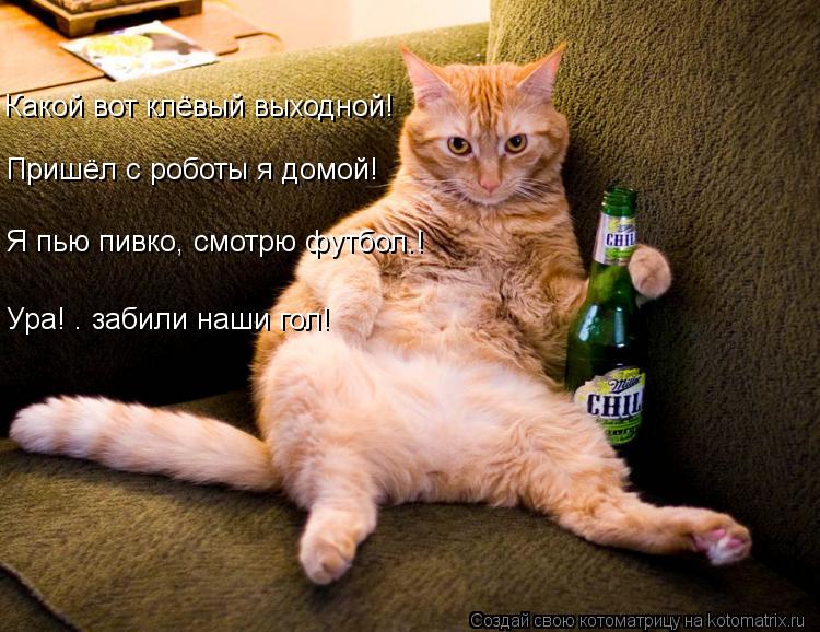 Котоматрица: Какой вот клёвый выходной! Пришёл с роботы я домой! Я пью пивко, смотрю футбол.! Ура! – забили наши гол!