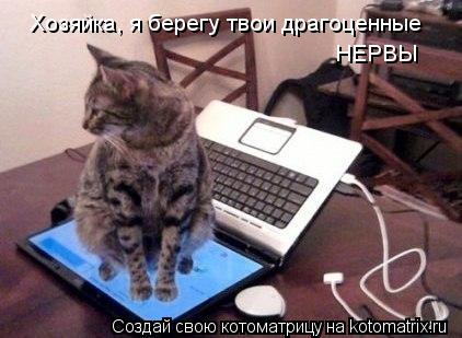 Котоматрица: Хозяйка, я берегу твои драгоценные  НЕРВЫ