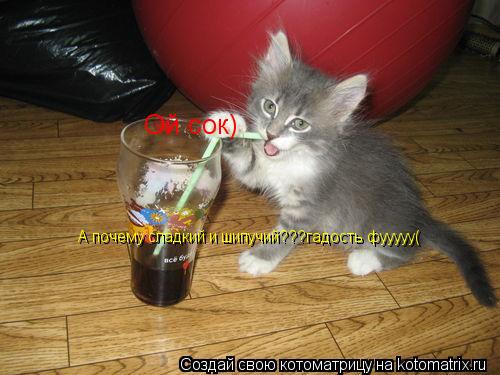 Котоматрица: Ой сок) А почему сладкий и шипучий???гадость фууууу(