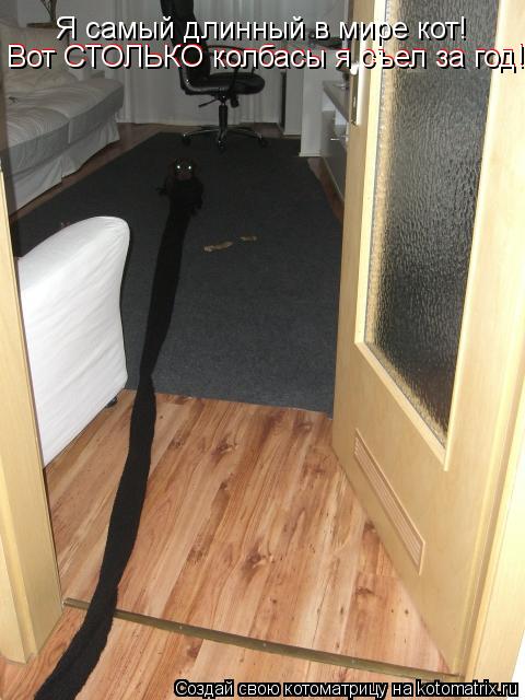Котоматрица: Я самый длинный в мире кот! Вот СТОЛЬКО колбасы я съел за год!!! Вот СТОЛЬКО колбасы я съел за год!!!