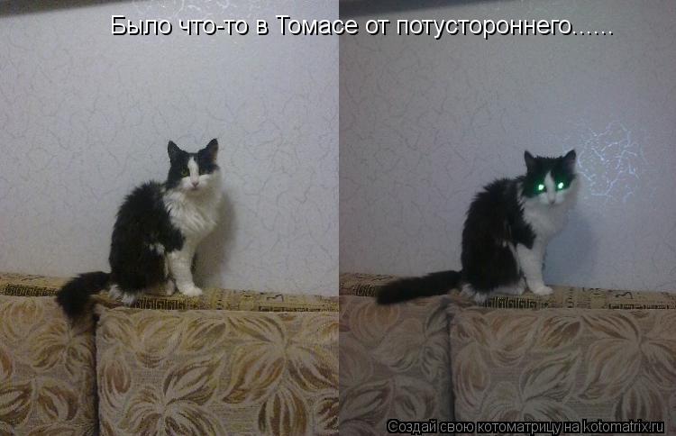 Котоматрица: Было что-то в Томасе от потустороннего......