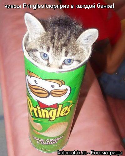 Котоматрица: чипсы Pringles!сюрприз в каждой банке!
