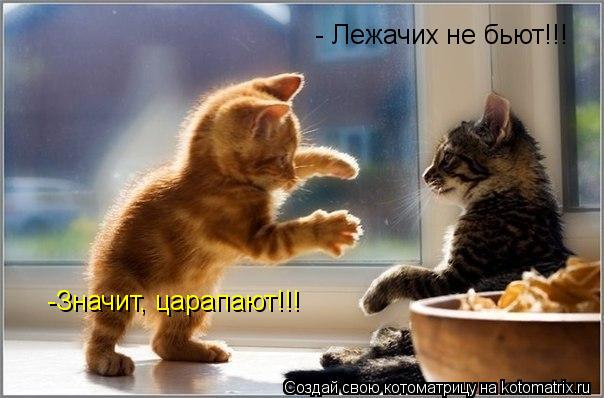 Котоматрица: - Лежачих не бьют!!! -Значит, царапают!!!