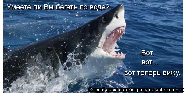 Котоматрица: Умеете ли Вы бегать по воде? Вот... вот... вот теперь вижу.