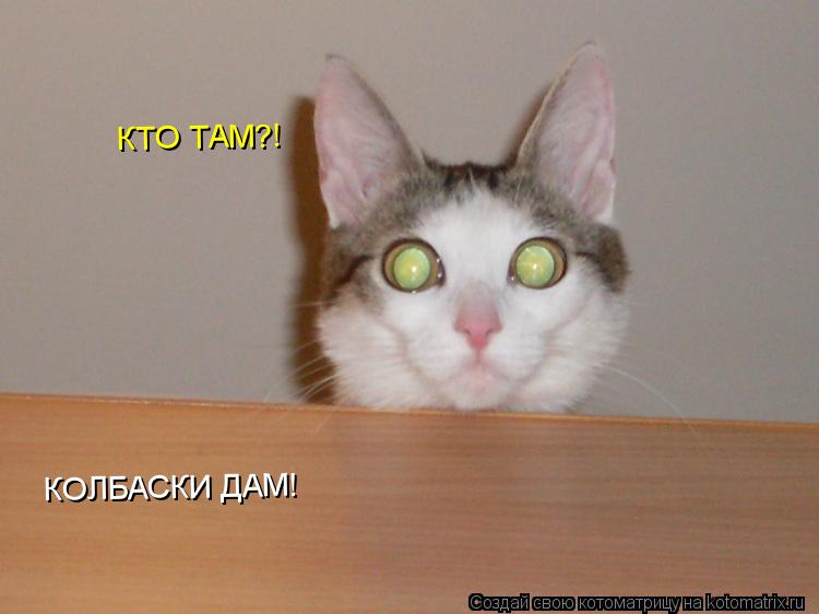 Котоматрица: КТО ТАМ?! КОЛБАСКИ ДАМ!