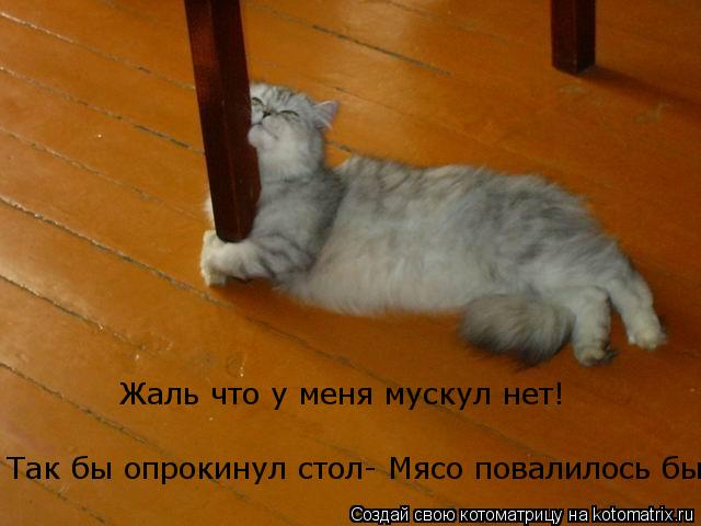 Котоматрица: Жаль что у меня мускул нет! Так бы опрокинул стол- Мясо повалилось бы!!!