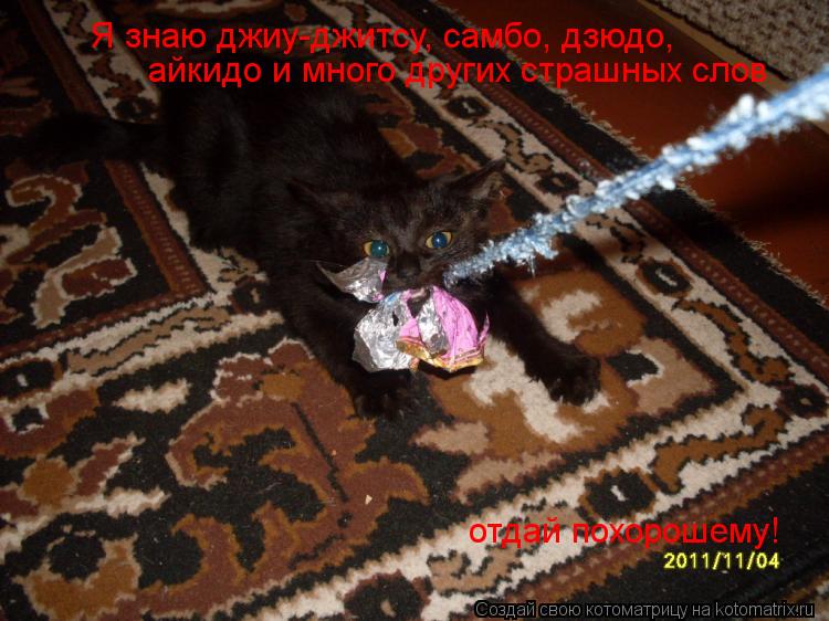 Котоматрица: Я знаю джиу-джитсу, самбо, дзюдо,  айкидо и много других страшных слов отдай похорошему!
