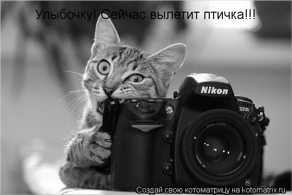 Котоматрица: Улыбочку! Сейчас вылетит птичка!!!