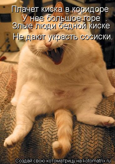Плачет киска в коридоре У нее большое горе . Злые люди бедной киске Не дают украсть сосиски.... Котоматрица: Плачет киска в коридоре У нее большое горе . Злые люди бедной киске Не дают украсть сосиски.
