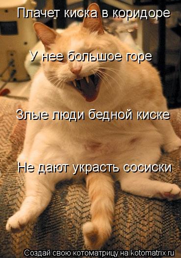 Котоматрица: Плачет киска в коридоре У нее большое горе  Злые люди бедной киске Не дают украсть сосиски