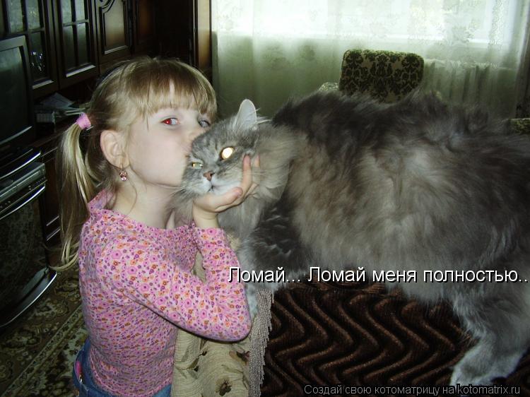 Котоматрица: Ломай... Ломай меня полностью...