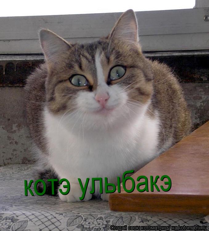 Котоматрица: котэ улыбакэ