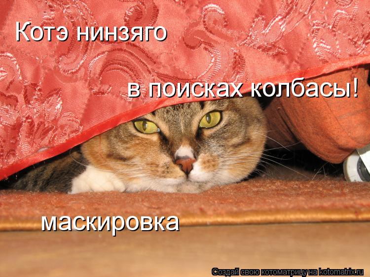 Котоматрица: Котэ нинзяго в поисках колбасы! маскировка