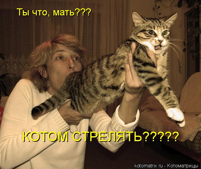 Ты что, мать??? КОТОМ СТРЕЛЯТЬ?????... Котоматрица: Ты что, мать??? КОТОМ СТРЕЛЯТЬ?????