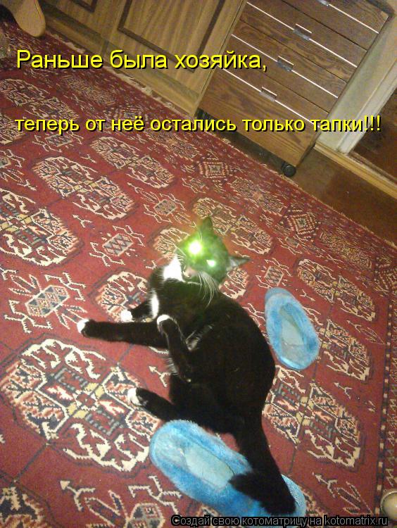 Котоматрица: Раньше была хозяйка,  теперь от неё остались только тапки!!!